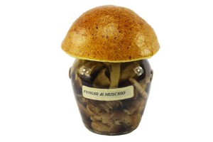 Funghi di muschio 1700 g